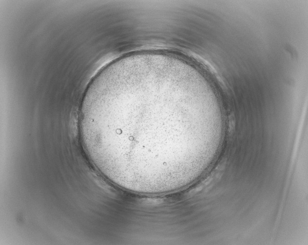 X0000115261409200911271916