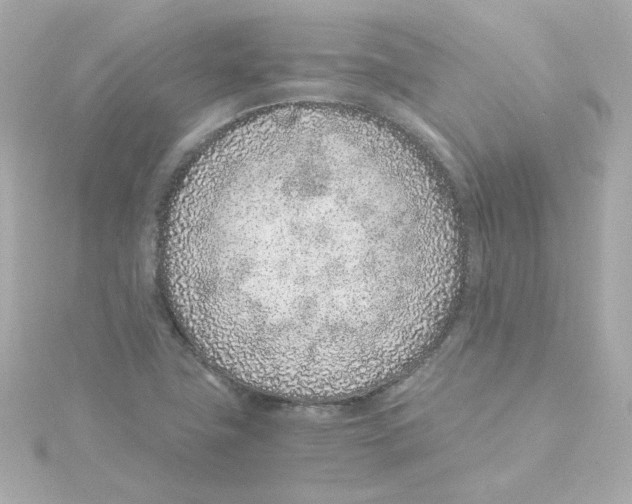 X0000115261411200911271916