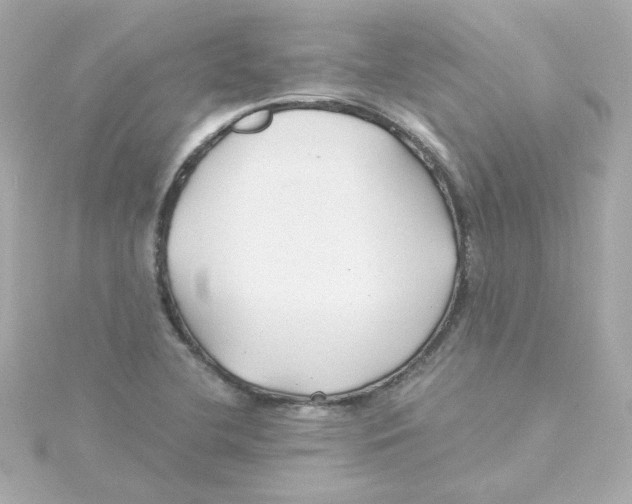 X0000115261412200911271916