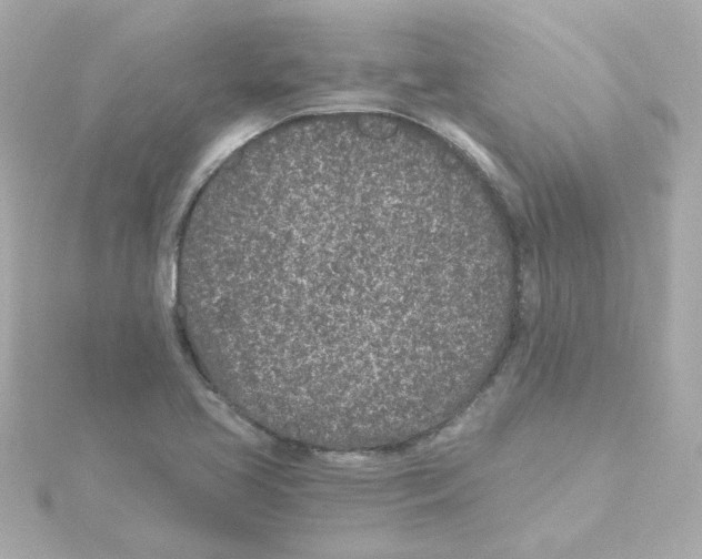 X0000115261413200911271916