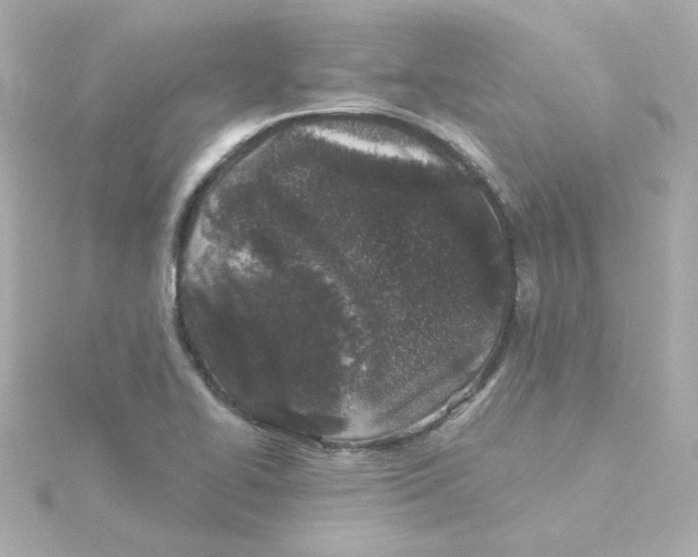 X0000115261414200911271916