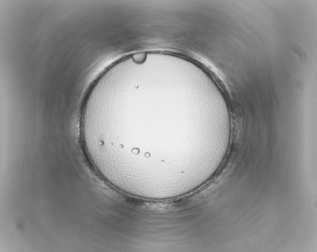 X0000115261415200911271916