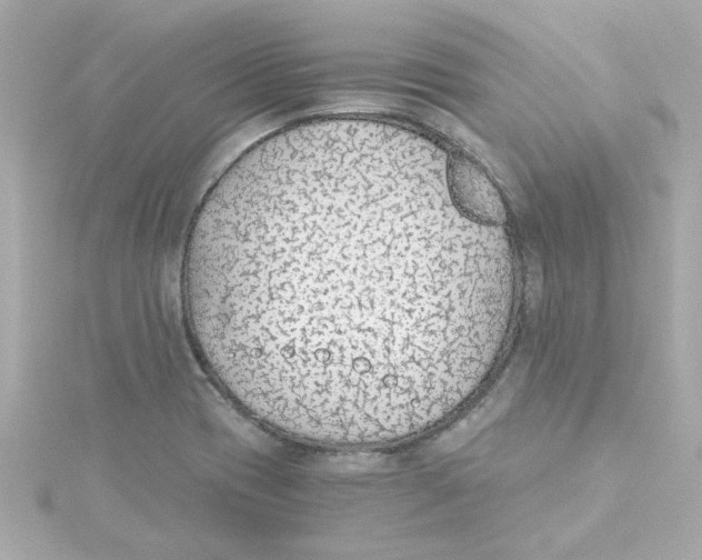 X0000115261417200911271916