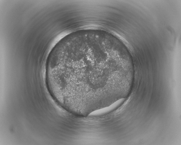 X0000115261418200911271916