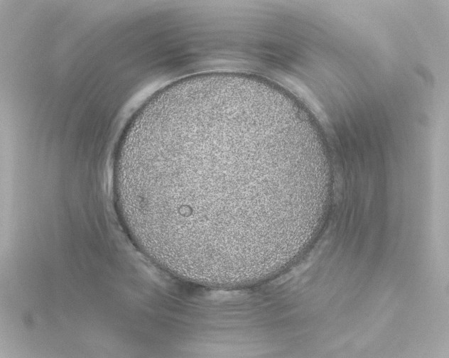 X0000115261419200911271916