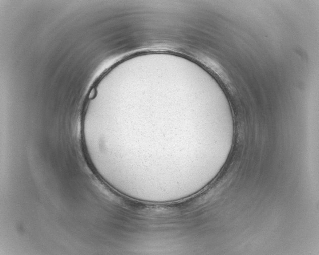 X0000115261420200911271916