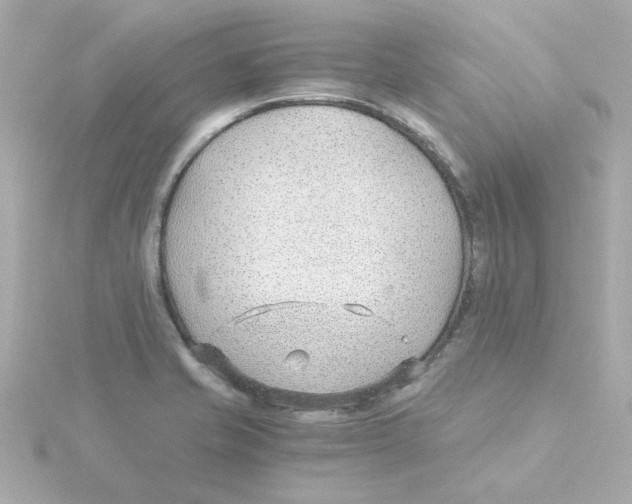 X0000115261421200911271916