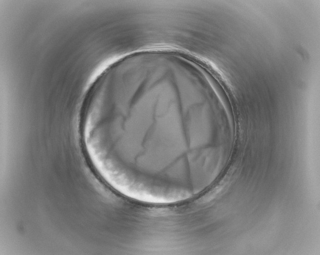 X0000115261422200911271916