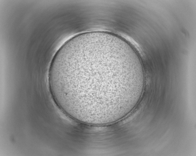 X0000115261423200911271916