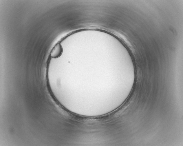 X0000115261424200911271916