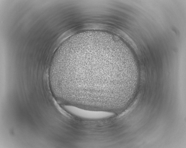 X0000115261425200911271916