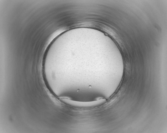 X0000115261426200911271916