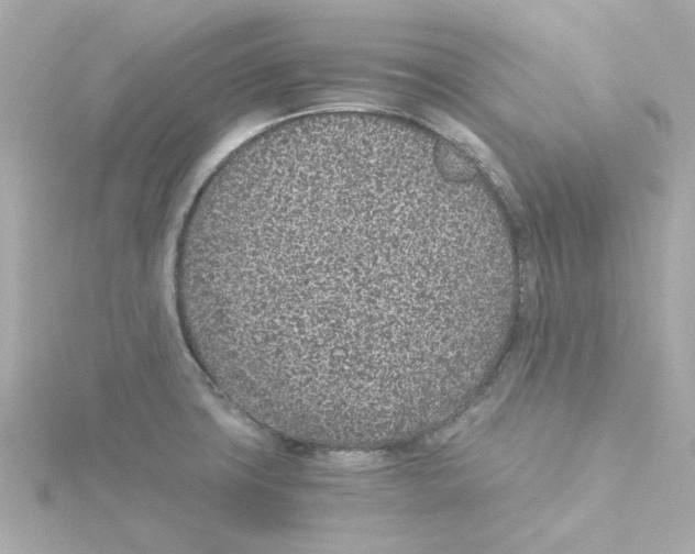 X0000115261427200911271916