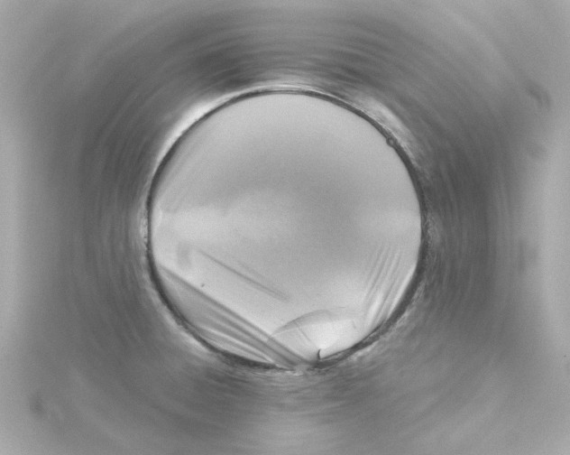 X0000115261428200911271916