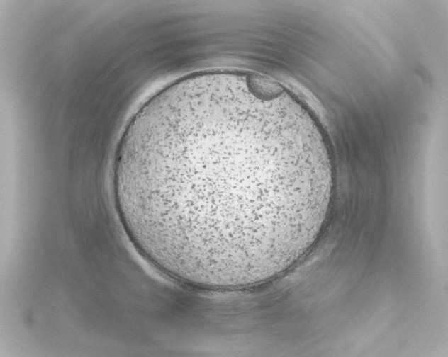 X0000115261429200911271916