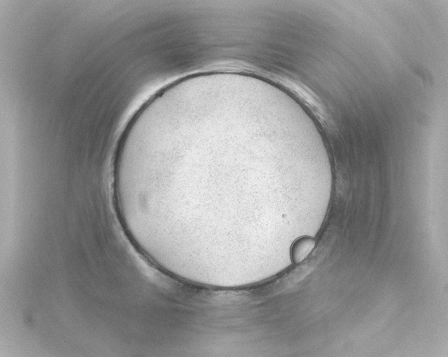 X0000115261430200911271916