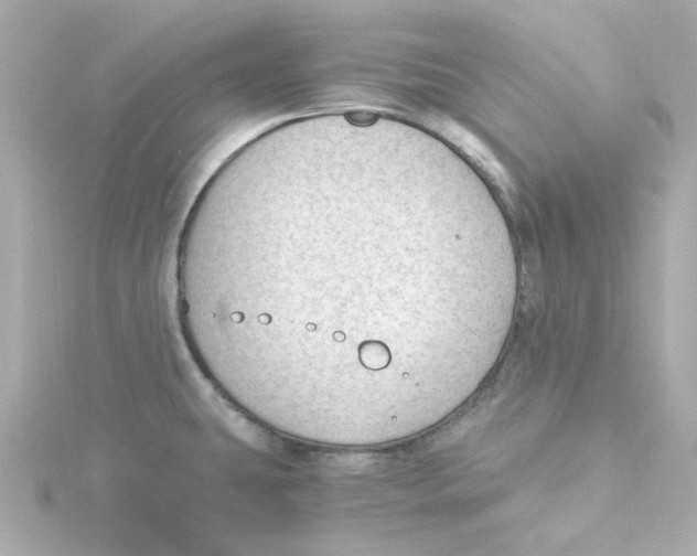 X0000115261431200911271916