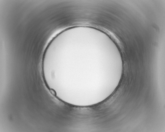 X0000115261432200911271916