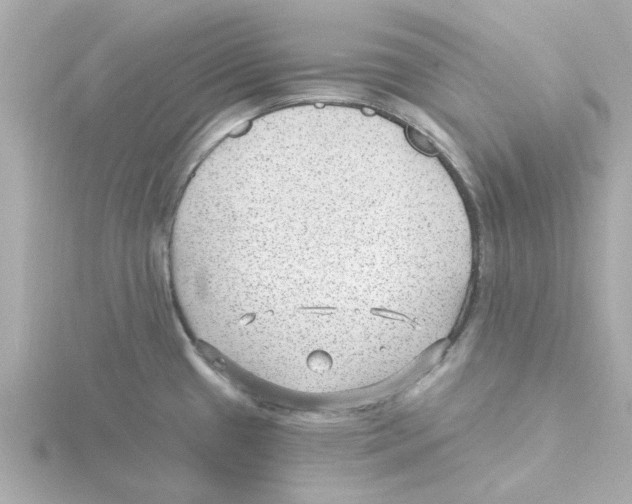 X0000115261433200911271916