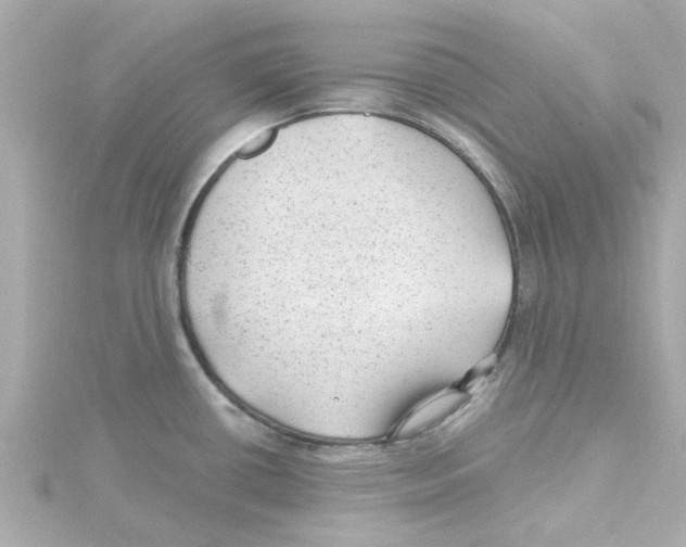 X0000115261434200911271916