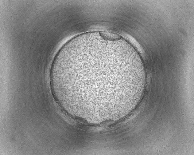 X0000115261435200911271916