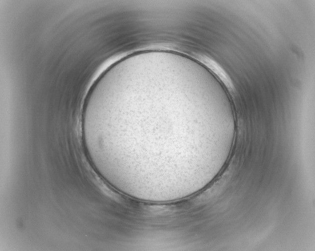 X0000115261436200911271916