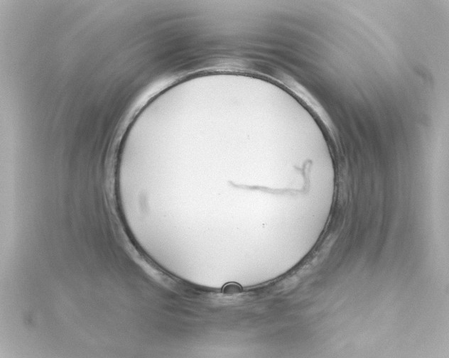 X0000115261437200911271916