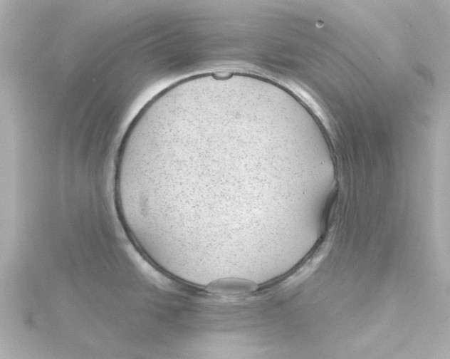 X0000115261438200911271916