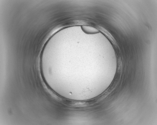 X0000115261439200911271916