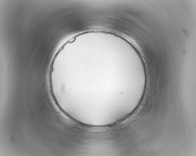 X0000115261440200911271916