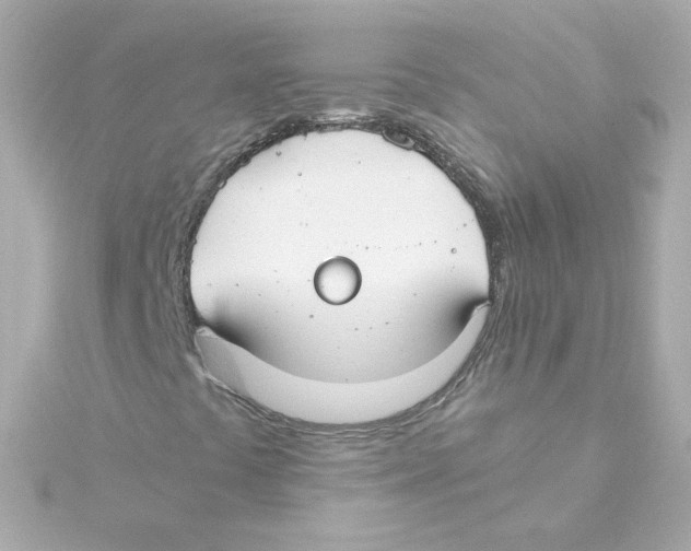 X0000115261441200911271916