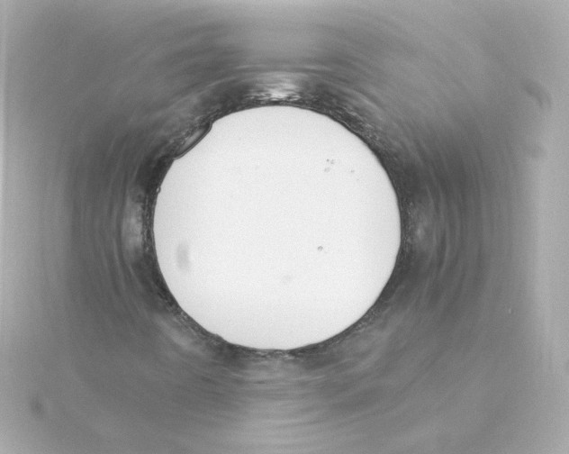 X0000115261442200911271916