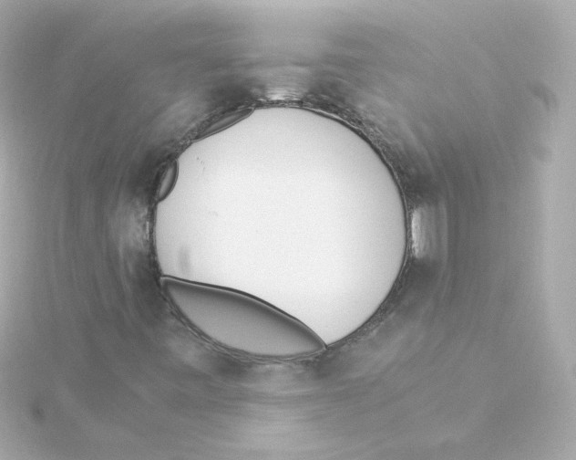 X0000115261443200911271916