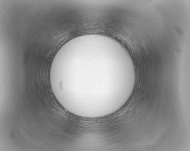 X0000115261444200911271916