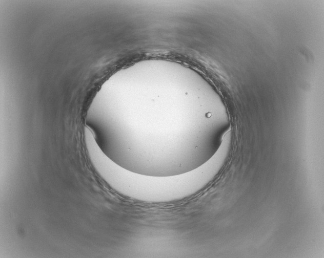 X0000115261445200911271916