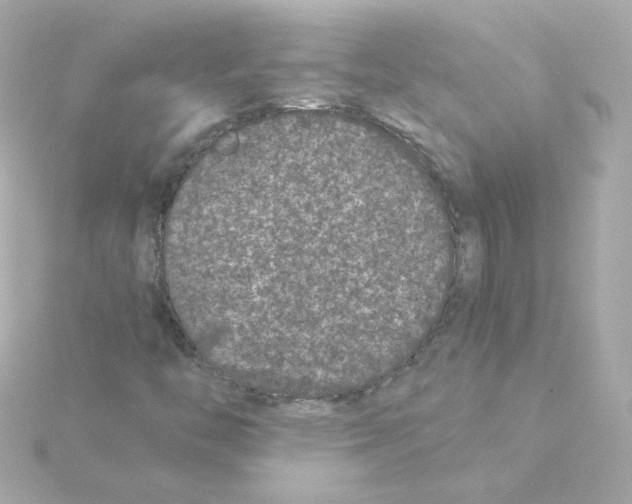 X0000115261446200911271916