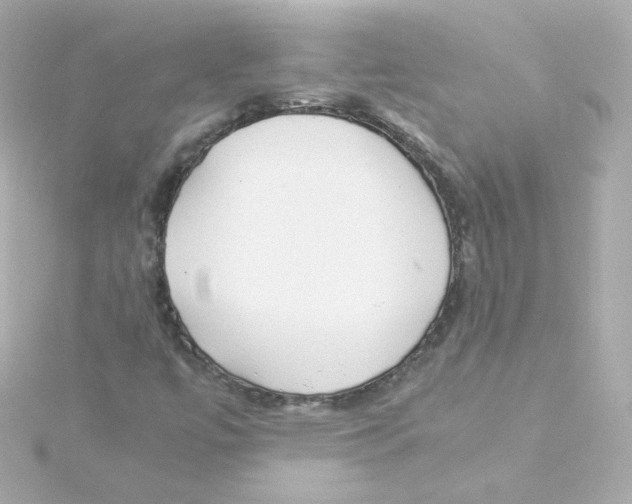 X0000115261447200911271916