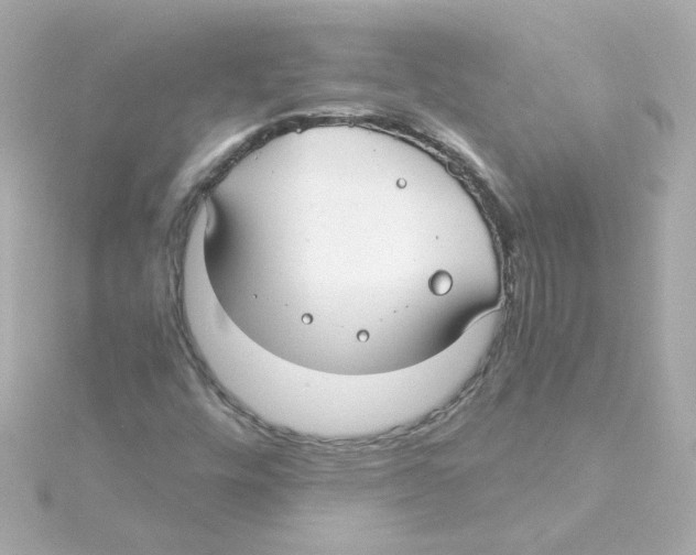 X0000115261448200911271916