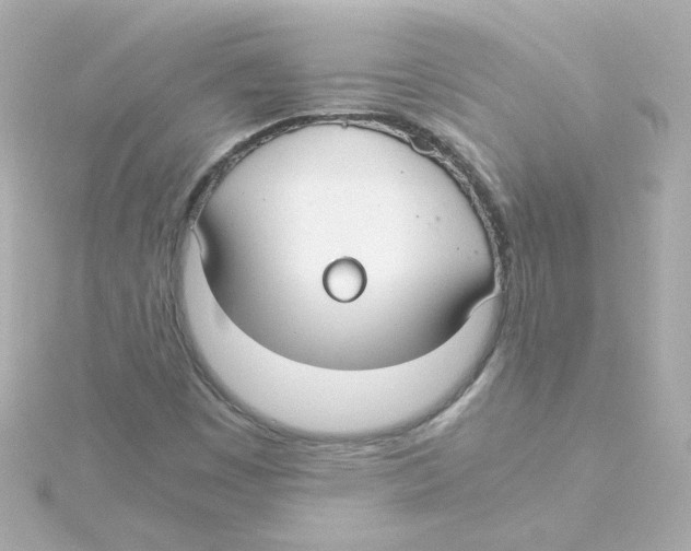 X0000115261449200911271916