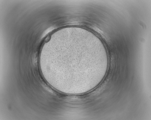 X0000115261450200911271916