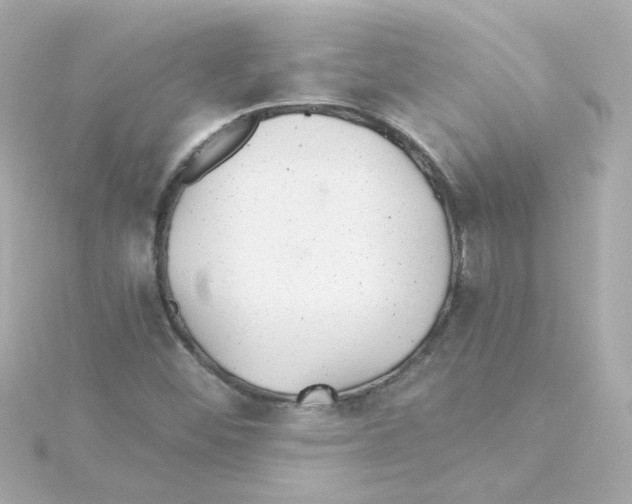 X0000115261452200911271916