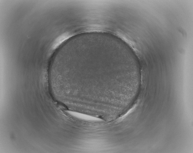 X0000115261453200911271916