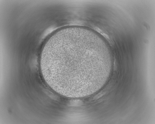 X0000115261454200911271916