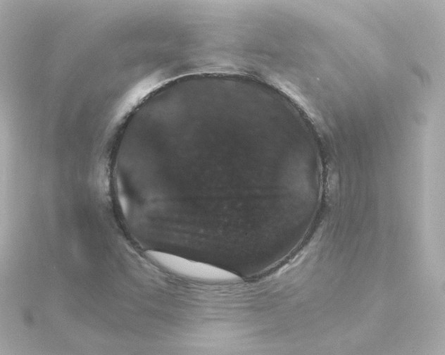 X0000115261455200911271916