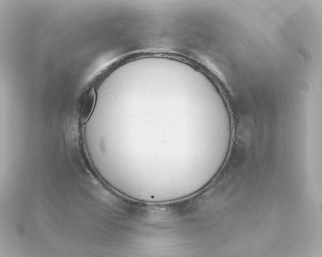 X0000115261456200911271916