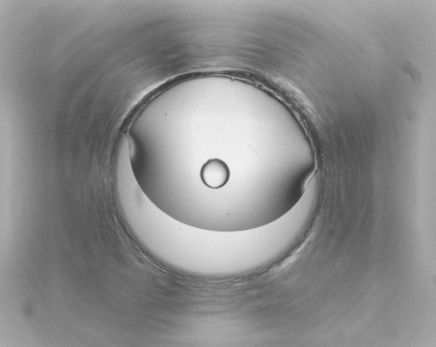 X0000115261457200911271916