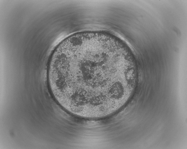 X0000115261459200911271916