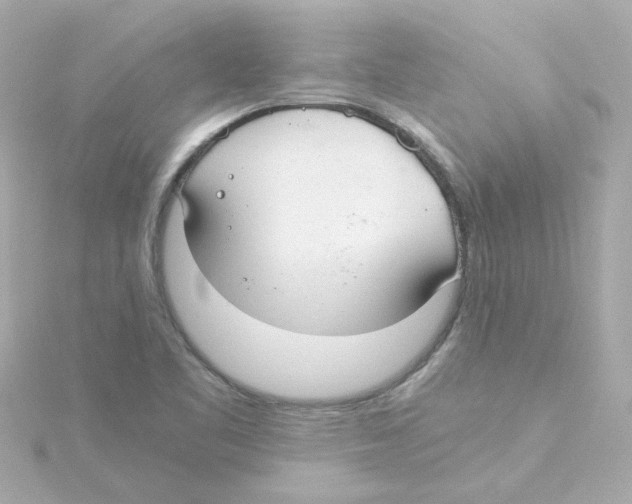 X0000115261461200911271916