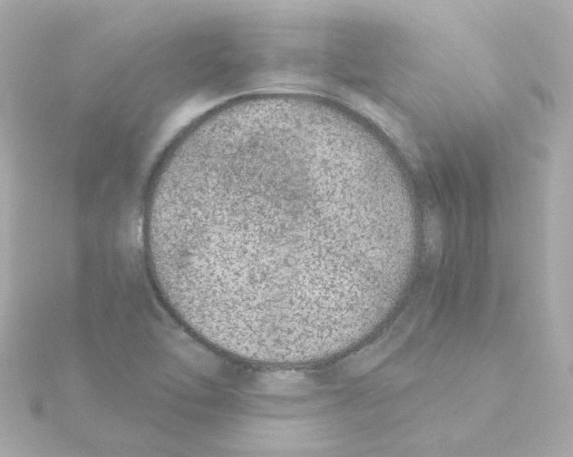 X0000115261462200911271916