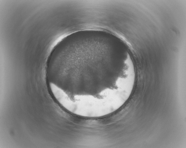 X0000115261463200911271916